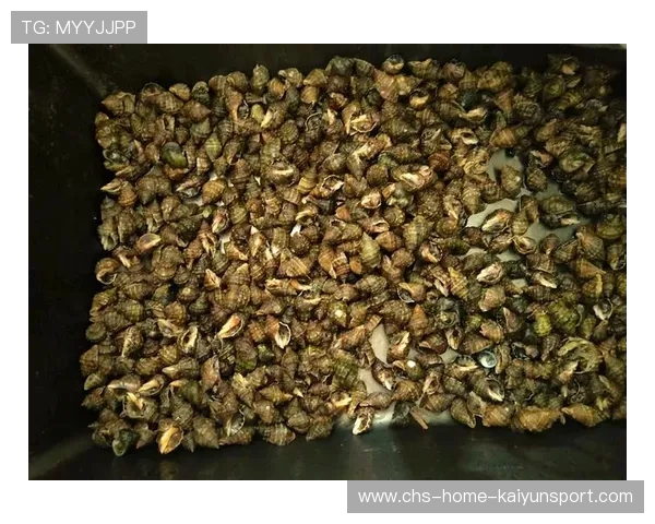 惠州市民凌晨赶海收获满桶海鲜，惠州几点赶海